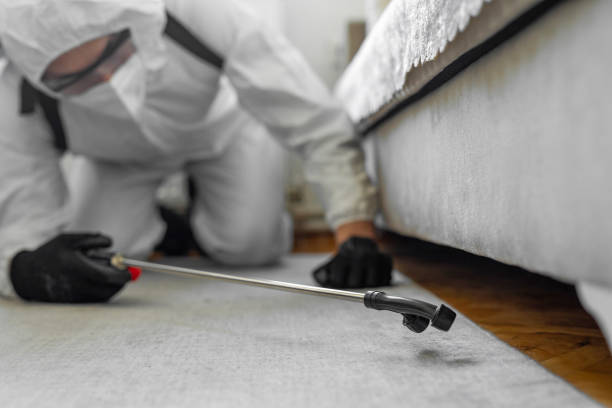 Professional Bed Bug Control technician working in The Crossings, FL