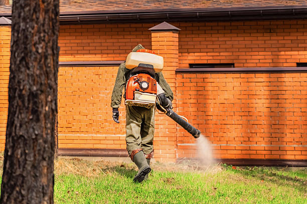 Trusted Emergency Pest Control service in The Crossings, FL - Nex Pest Control